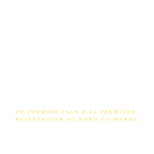 Logo principal de la Conciergerie du Nord - footer desktop
